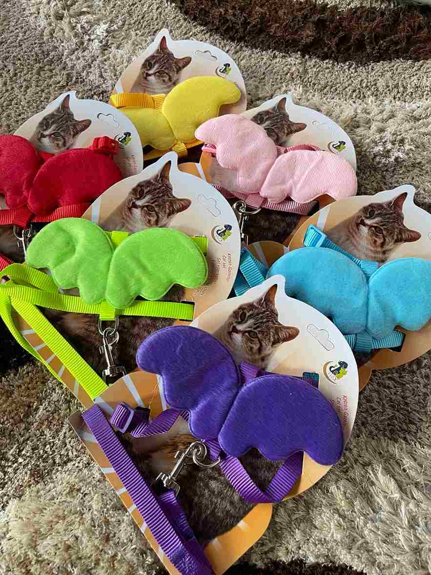 Correa Alitas - Imagen 3