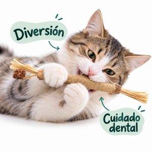 Vara de Matatabi para Gatos | Juguete Natural para Morder y Limpiar Dientes