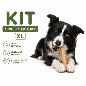 Palos de Café XL para Perros (Kit x3 con Envío Gratis) | Mordedor Natural Antiansiedad