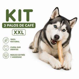 Palos de Café XXL para Perros (Kit x3 con Envío Gratis) | Mordedor Natural Antiansiedad
